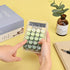 Cute Desktop Calculator, Simple Basic 10 Digit Desk Calculators for Business Office Supplies with Clear LCD Display