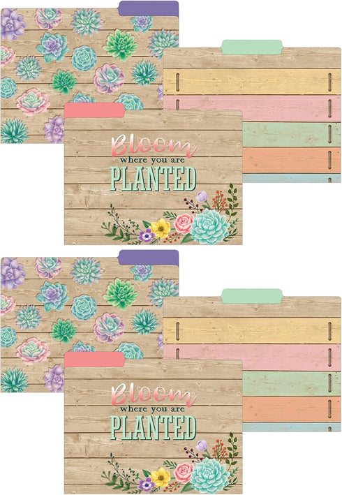 Rustic Bloom File Folders, 2 Packs by Teacher Created Resources