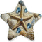 ALAZA Starfish Seashell Funny Star Shaped LED Night Light Dusk to Dawn