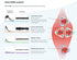 2.0 Reference Cable, 3-inch Long Cable to MyoWare 2.0 Muscle Sensor for Measuring Electrical Activity of Target Muscle