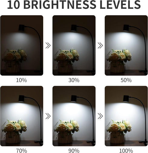 Dott Arts Desk Lamp, USB Clip On Light with 3 Color Modes, 360 Gooseneck Book Light for Home Office