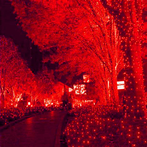 Outdoor,5ftx5ft 100LED HISHINY LED Red Christmas Net Lights Green Wire, Connectable Indoor Outdoor Bush Mesh Net Lights