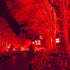 Outdoor,5ftx5ft 100LED HISHINY LED Red Christmas Net Lights Green Wire, Connectable Indoor Outdoor Bush Mesh Net Lights