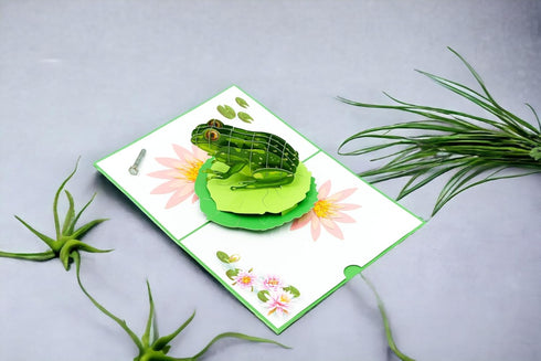 Green Frog Pop Up Card, Blank Frog Card with Envelope for Birthday, Kids Gift, Thank You, Get Well Soon