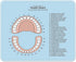 Emvency Mouse Pads, Pink Education Tooth Chart Infographic, Blue Dental Human Anatomy Mousepad, 9.5" x 7.9"