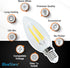 E14 Bulb 4W (40W 2700K 450lm, Non-Dimmable C35/B10 6 Packs BlueStars European Base LED Equivalent), Warm White Torpedo