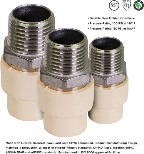 Supply Giant TTDQN056 Male x CPVC Adapter Transition Pipe Fitting, 3/4 in Stainless Steel