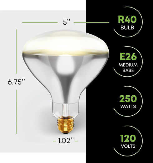 250R40/1 250-Watt, R40 Bulb, E26 120V, 6,000 (Pack 2-Clear-Heat Incandescent Reflector, Clear Head Lamp, Heat Flood