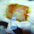 3M 0.1 oz (3 mL) Vetbond Tissue Adhesive Fast-Acting Veterinary Wound Glue for Pets, Surgical-Grade Skin Adhesive