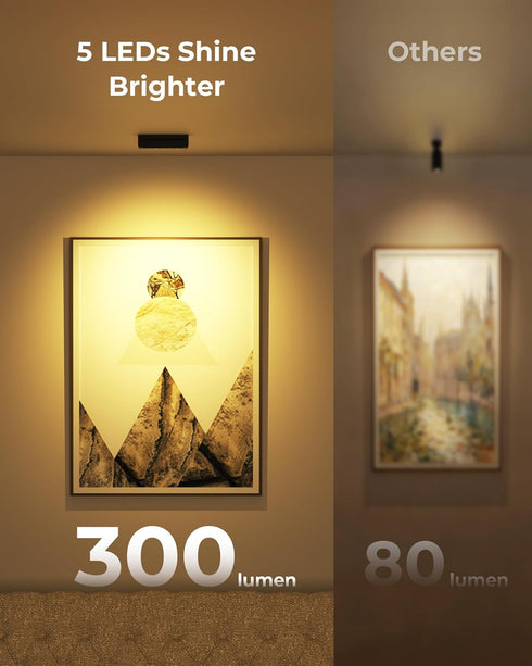 5500mAh 3CCT Dimmable, Spotlights Indoor with Daily Auto Timer, Rechargeable Plant Lights, Wireless Uplighting