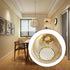 Generic Retro Cage Ceiling Pendant Light Shade, Metal Basket Lamp Shade, Vintage Style Wire Cage Guard, Hanging