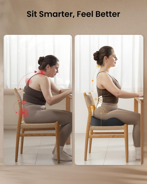 Tailbone ProtoArc Extra Large Seat Cushion for Pain Relief, Seat Cushions for Office Chairs, Extra Cover, Ergonomic