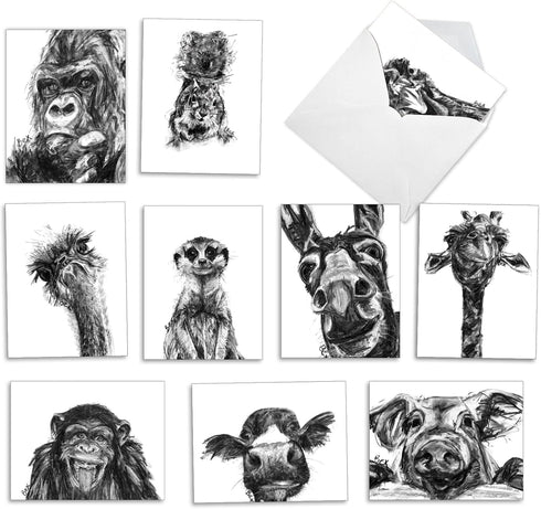 The Best Card Company - 10 Boxed Thank You Cards w/Envelopes - Animal Appreciation Stationery Set for Men Women Kids
