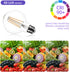 SD LUX G25 Vintage Globe Light Bulbs, 6 Pack, 8W Dimmable, 1000LM (100W Equivalent), E26 Base, 2700K Warm White