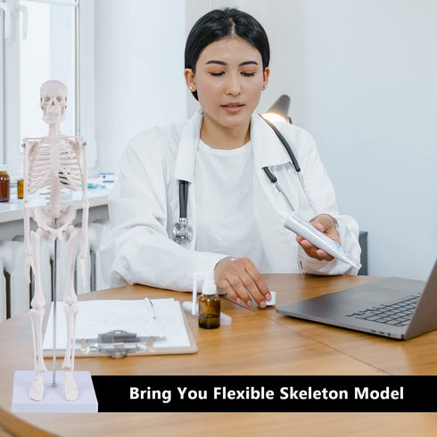 17" NLShan Human Skeleton Model for Anatomy: Scientific Model with Movable Arms, Legs & Display Stand - Mini Human