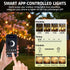 50FT G40 Dimmable 22 Bulbs, Smart Outdoor String Lights with APP Control, Patio String lights Outdoor with Shatterproof