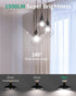 6 Pack Bulbs 100 A19 15W 5000K 1500 E26 Bulb Non-Dimmable LED Light Watt Equivalent, Daylight, Super Bright White Light