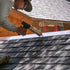 4'' x 20' Aluminum Flashing Roll - 0.2mm Thickness Roof Flashing, Metal Roof Panels for Sealing Windows, Doors, Shed