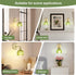 Set (Bulbs Hardwired Wall Sconces of Two, Vintage Wall Lights with Green Tulip Glass Lampshade, Gold Wall Lamps