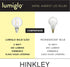 G16 E12 Bulb Hinkley Lumiglo Led Globe Clear