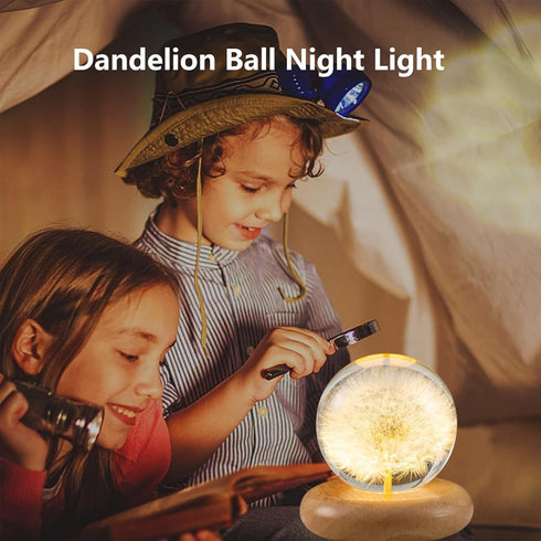 Pletmin 2.76 inch Dandelion Ball Night Light, Ball Night Lamp with Wooden Base, Fall Decorations for Home Gift for Dad