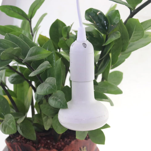 2 Packs 6.5FT/2M E26/E27 Bulb Bulb (6.5FT 2Packs) Pendant Light Socket Kits lamp Holder with Cord on/Off Switch