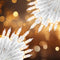 2 Pack 50 Count Christmas String Lights Clear Warm White Mini Lights