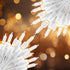 2 Pack 50 Count Christmas String Lights Clear Warm White Mini Lights