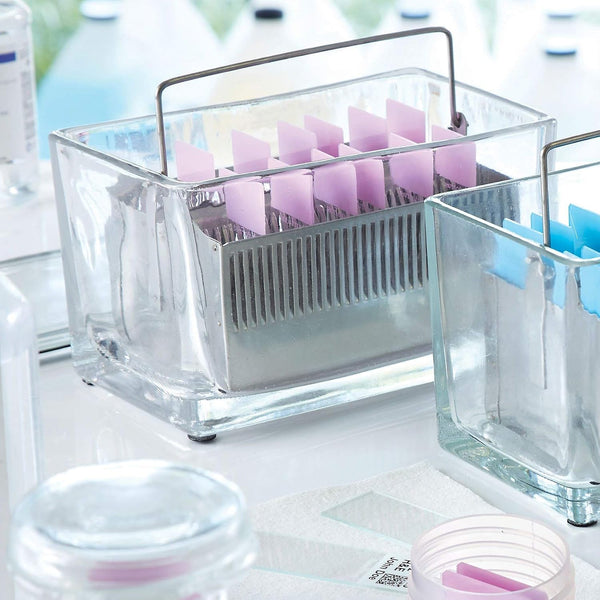 Cancer Diagnostics, Inc. Cancer Diagnostics SD1060 Staining Dish, Glass, 60 Slide - EA.