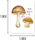 PTTShop You Are Magic To Me Mushroom Card - Lovely Mushroom Anniversary Card - Magic Mushroom Pun Card - Lovely Sweet