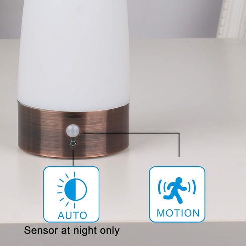 WRalwaysLX Retro LED Night Light for Home,Small Lamp with Wireless PIR LED Motion Sensor Indoor/Outdoor,Battery
