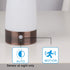 WRalwaysLX Retro LED Night Light for Home,Small Lamp with Wireless PIR LED Motion Sensor Indoor/Outdoor,Battery