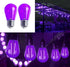 15 Pack 2W S14 LED Bulbs, Purple Christmas Replacement Bulb, E26 Base, Plastic Decorative for Outdoor Decor