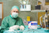 50 3-Ply 18" 26". Dukal Case of Drape Sheets x Fenestrated Sterile Surgical Barrier Drapes. Tissue-Poly-Tissue Medical