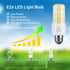 ZP A19 LED Light Bulb, 300W Equivalent, 40W, 5000 Lumen, 5000K Cool Daylight White, E26/E27 Base, 2 Count