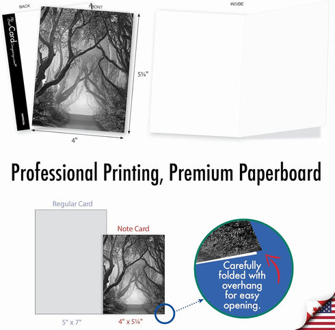 The Best Card Company - 10 Blank Note Cards with Envelopes, 4 x 5.12 Inch, Black & White Photos Set