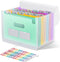 ThinkTex 12 Pockets Accordian File Organizer, Portable Monthly Bill Receipt Holder, Letter/A4 Size - Green