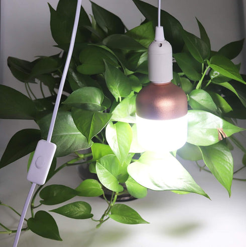 4 E26/E27 5.9FT Bulb Bulb (4 Packs) Rextin pcs LED Light socket extension cord with On/Off switch and US AC Power Plug