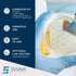 Evviva Sciences Mold Test Kit for Home, 5 Simple Detection Tests with Optional Lab Analysis