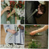DECORNIJIA 100pcs Floral Water Tubes for Flower Arrangements Sturdy Plastic Vials for Fresh Flower Cuttings Optimal