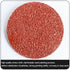 Hiqalty 100Pcs 2" inch (120) Sanding Disc Roll Lock R-Type Sandpaper Quick Change Disc Grinding Pad Abrasive Disc