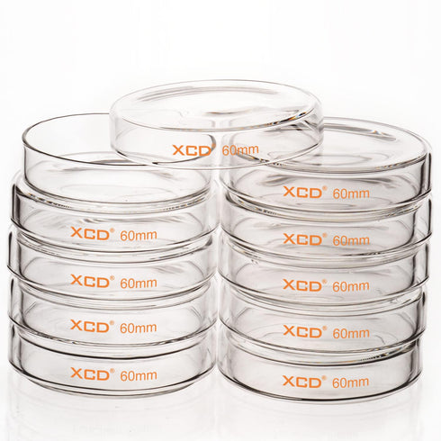 10 Pack Glass Petri Dishes, Borosilicate Glass Cell Culture Dishes with Clear Lid for Laboratory Use (60x15 mm)