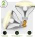 250R40/1 250-Watt, R40 Bulb, E26 120V, 6,000 (Pack 2-Clear-Heat Incandescent Reflector, Clear Head Lamp, Heat Flood