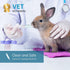 50pcs 5ml/cc Plastic Syringes with Caps, Without Rubber Stopper for Industry Lab Pet Feeding