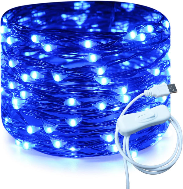 RUICHEN 20 Ft 120 LED USB Fairy String Lights with On/Off Switch,