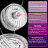 HL Submersible LED Light, Purple Small Battery Powered Light for Wedding Home Vase Festival Decoration (12pcs)