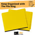 The File King Two Divider Pressboard Classification Yellow File Folder, Letter Size, Box of 10