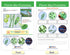 NewPath Learning Protists Bulletin Board Charts, Set of 8, Laminated, Double-Sided, Full-Color, 12" x 18" (94-7017)