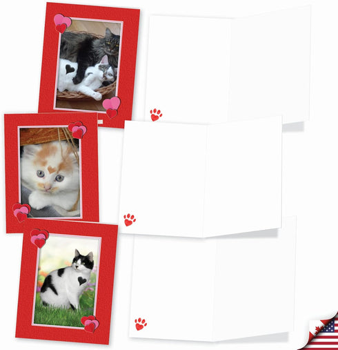 The Best Card Company - 10 All Occasion Blank Cat Cards (4 x 5.12 Inch) - Cute Assorted Bulk Set, Heartfelt Cats