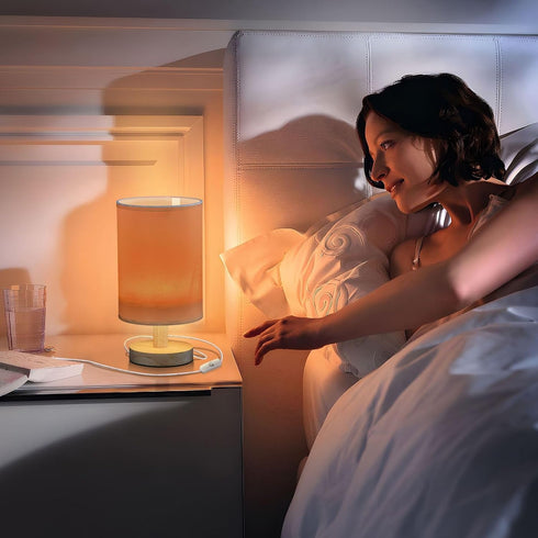 Dalzium Bedroom Lamp Burnt Orange Bedside Table Lamp with USB Port Desk Light LED Night Light for Nightstand